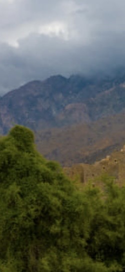 احصل على  منفذي الخدمات في منطقه الباحه 